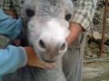20120307175922 089fb750 138 800 600 80 20120307175922 089fb750 138 800 600 80