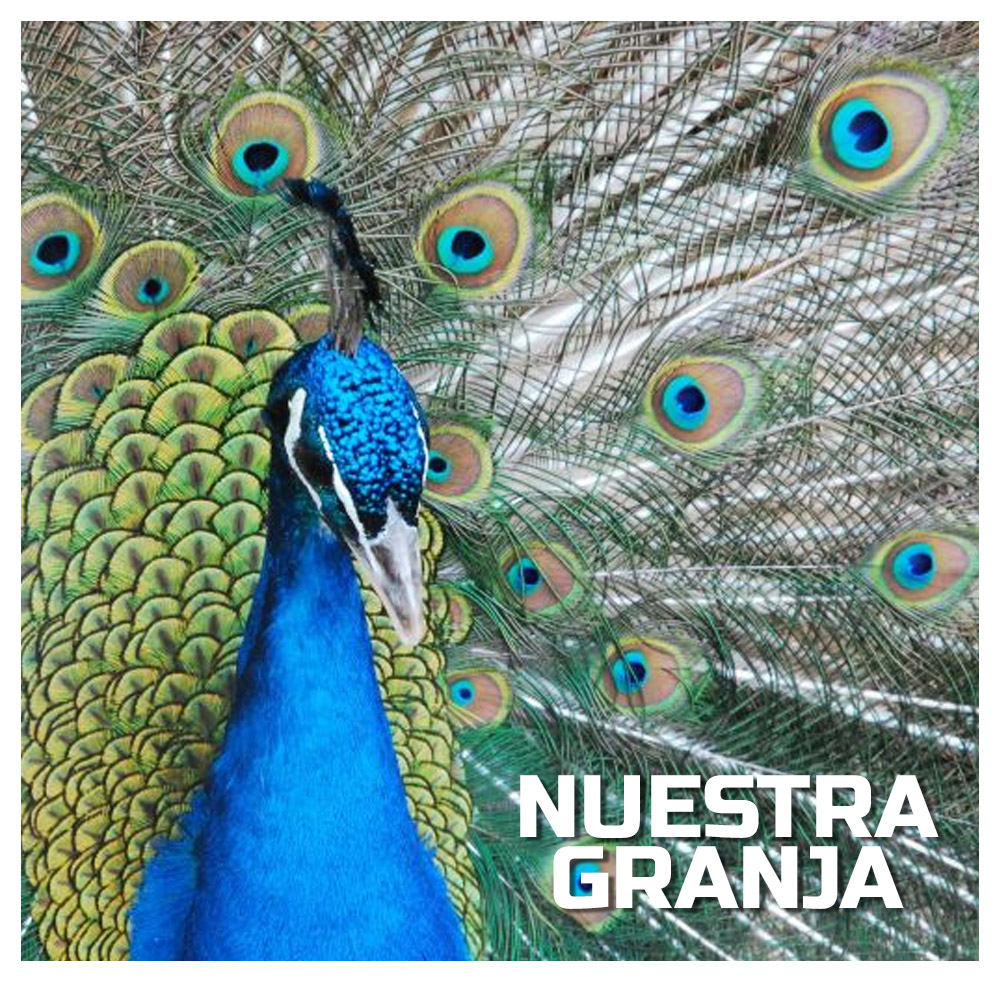 Visita nuestra granja